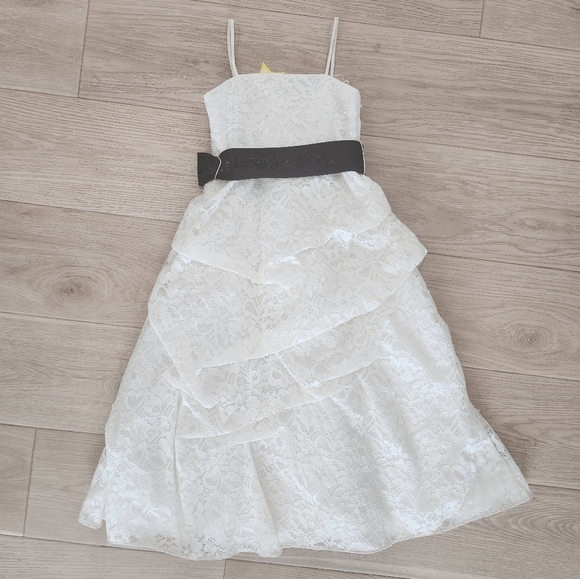 David's Bridal beaded lace GORGEOUS in PERFECT SHAPE - Picture 5 of 7